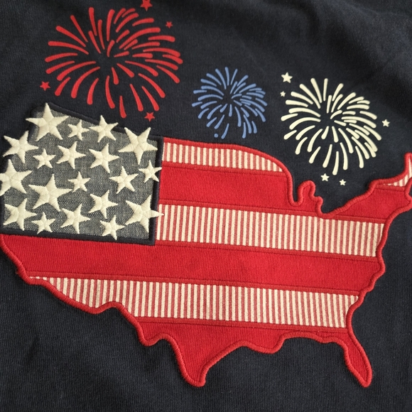 Gymboree Boys Navy Embroidered American Flag Tshirt 10 - American Cutie - Picture 4 of 6